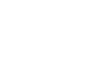 Shaunessy Signature in White